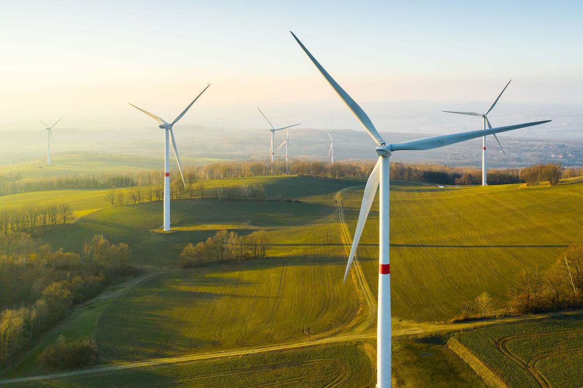 windfarm