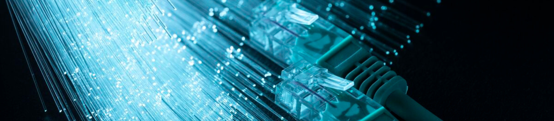 fiber network