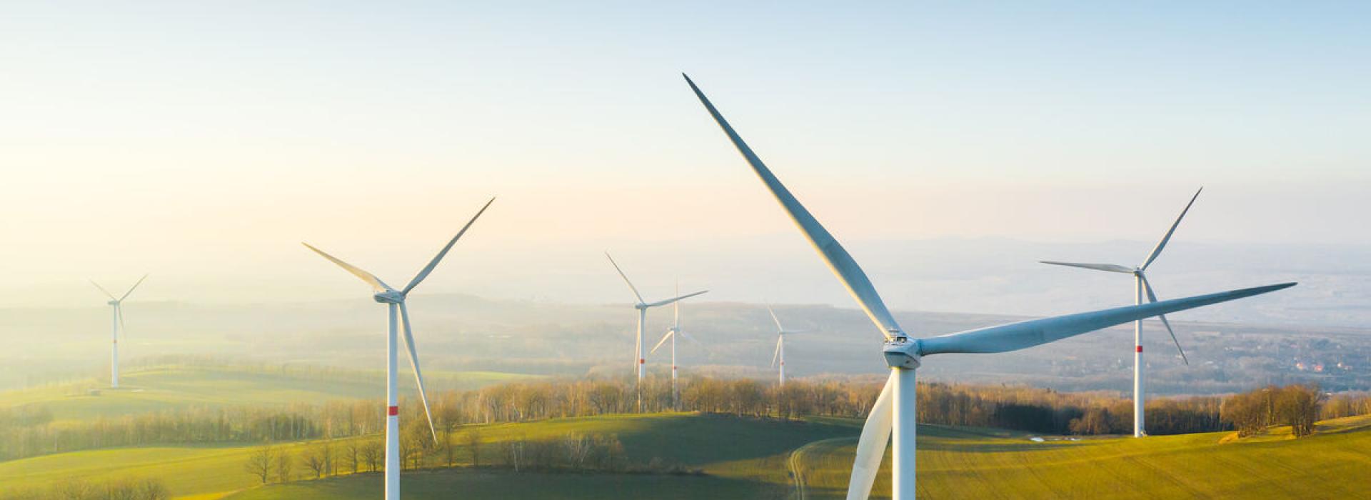 windfarm